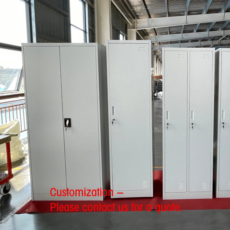 File Cabinet - ตู้เก็บเอกสารเหล็ก 2 ประตู แบบกำหนดเอง ตู้เหล็กสำนักงาน ตู้เก็บเอกสาร